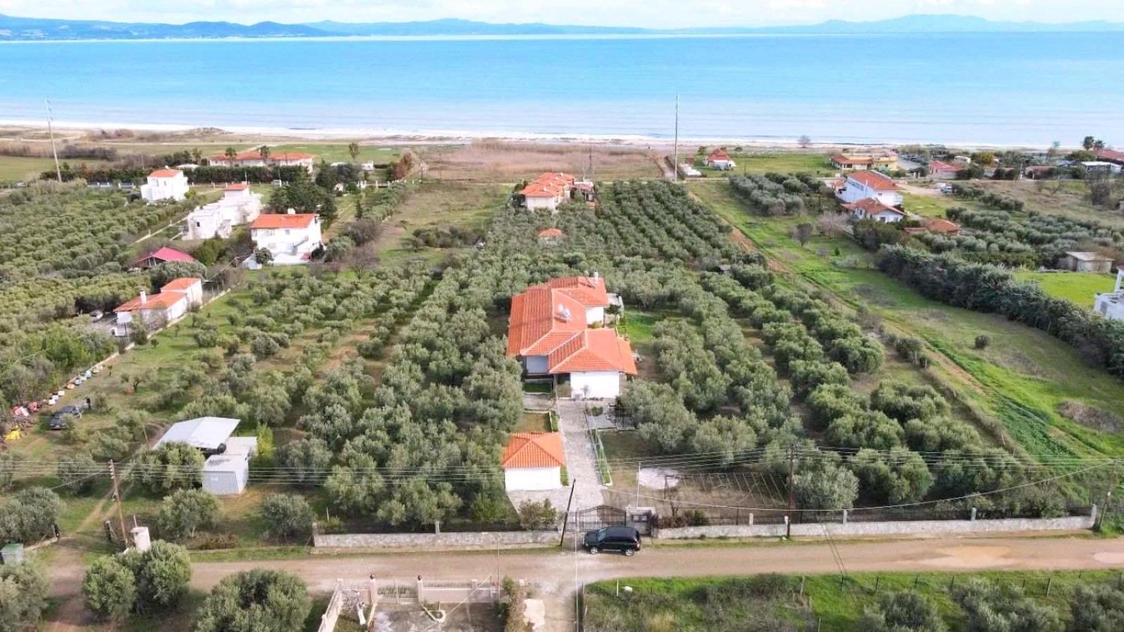 Kalelia Apartment Nea Poteidaia Bagian luar foto