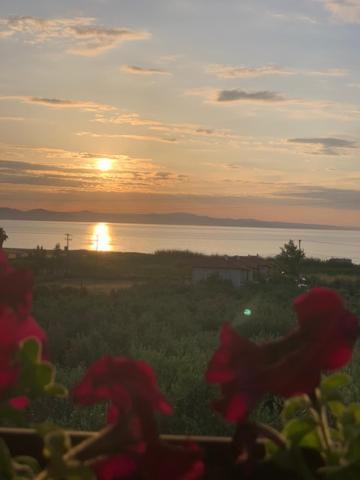 Kalelia Apartment Nea Poteidaia Bagian luar foto