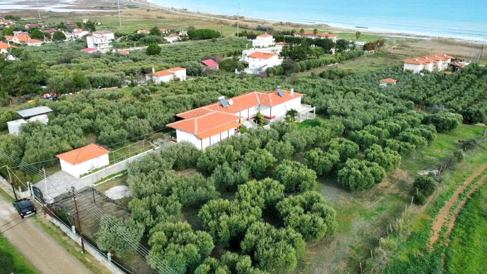 Kalelia Apartment Nea Poteidaia Bagian luar foto